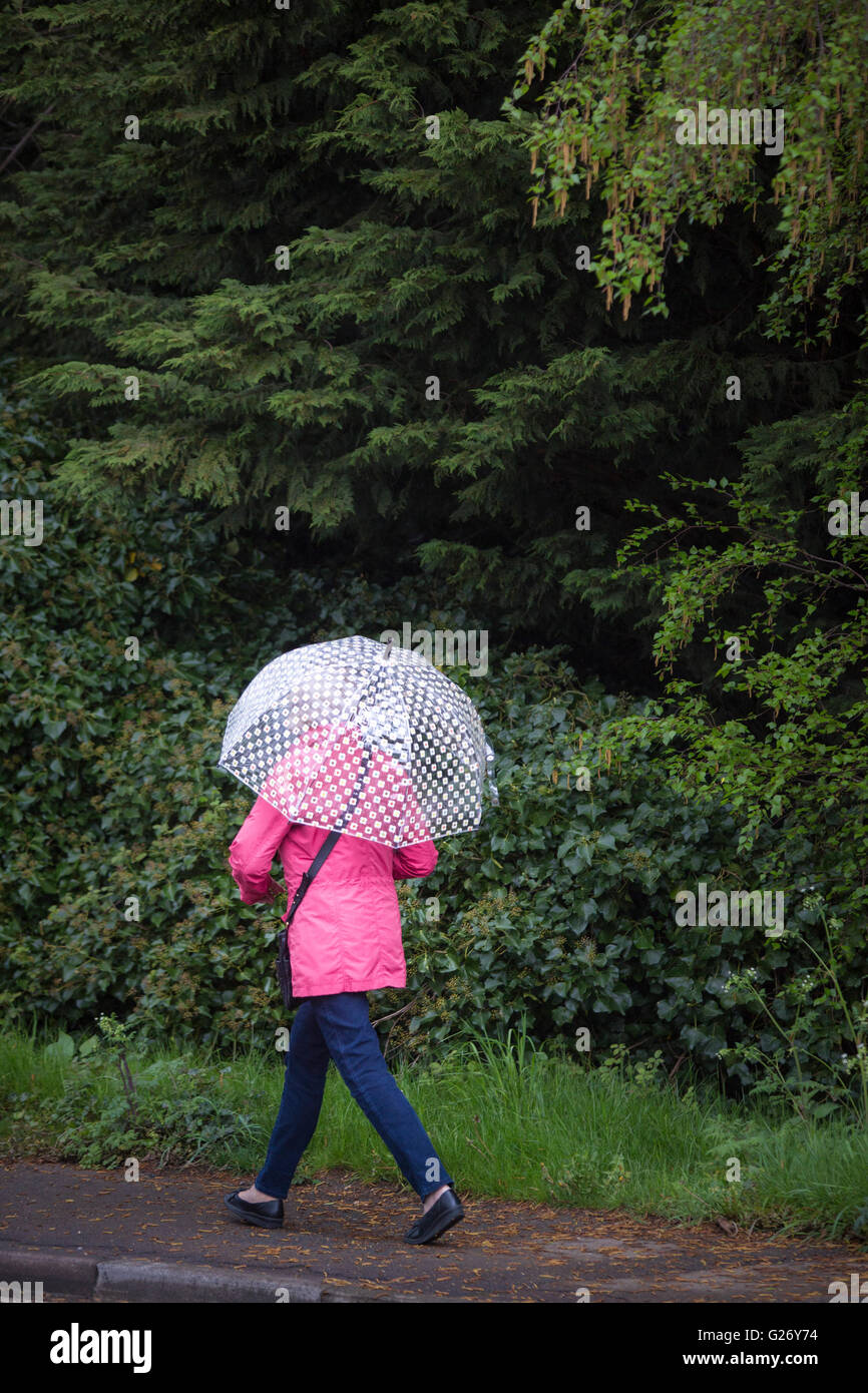 Una donna walkign lontano il ricovero sotto un ombrello trasparente. Foto Stock