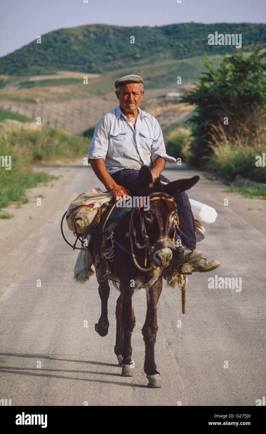 Contadino sul suo mulo vicino a Cirò (Campania) Foto Stock