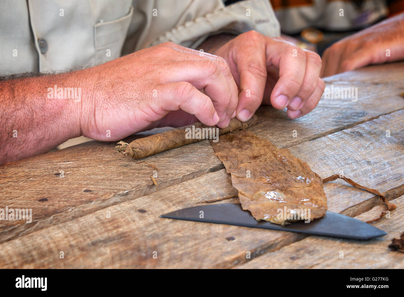 Close up di mani laminazione di un sigaro in Cuba Foto Stock