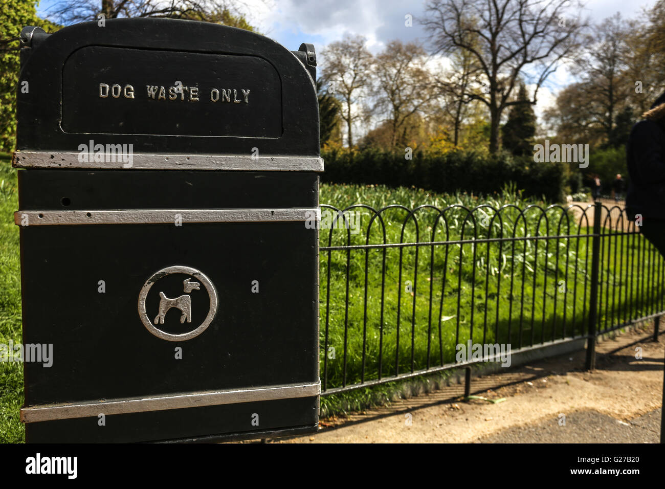 Cane soltanto rifiuti cucciolata / spazzatura in Centennial Park, Londra Foto Stock