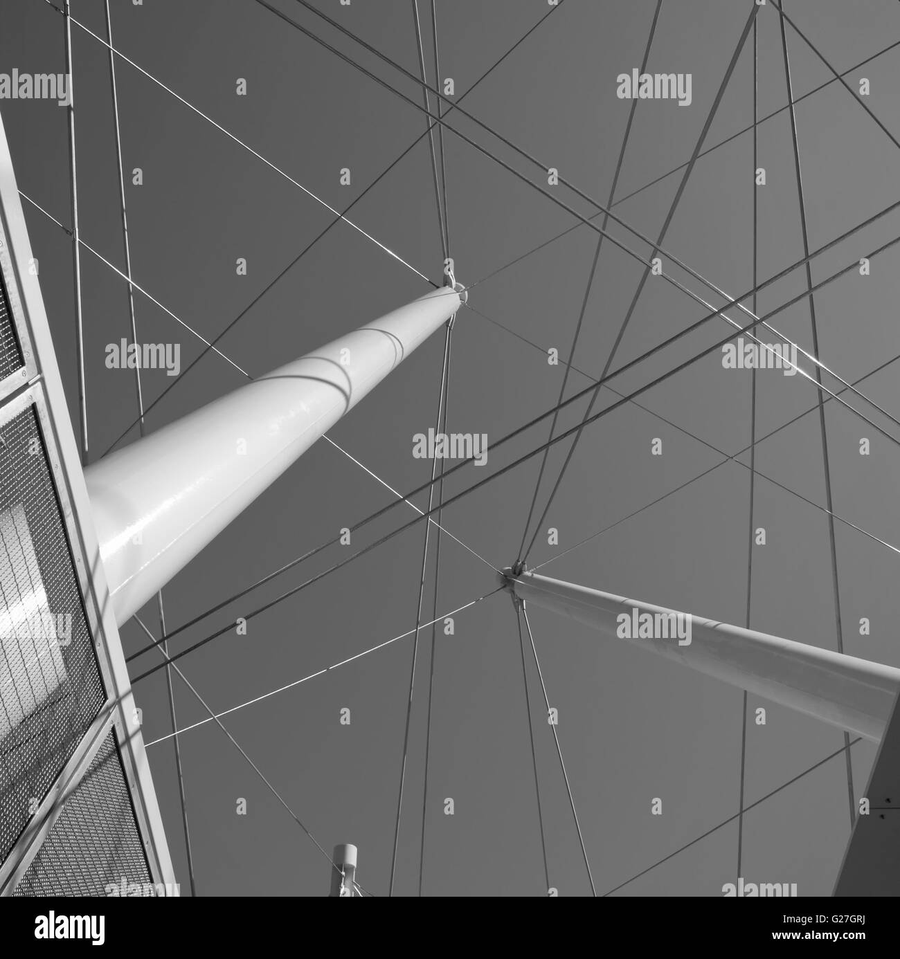 Bianco e nero immagine astratta di molti fili che si sovrappongono in grado di contenere fino a due poli. Foto Stock