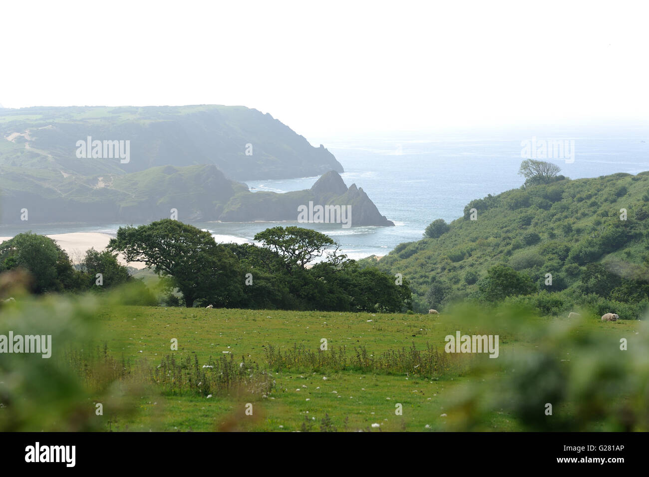Fumoso blue skies separare il distintivo Three Cliffs Bay su Gower dal circostante campi verdi e alberi. Gallese spot di bellezza. Foto Stock