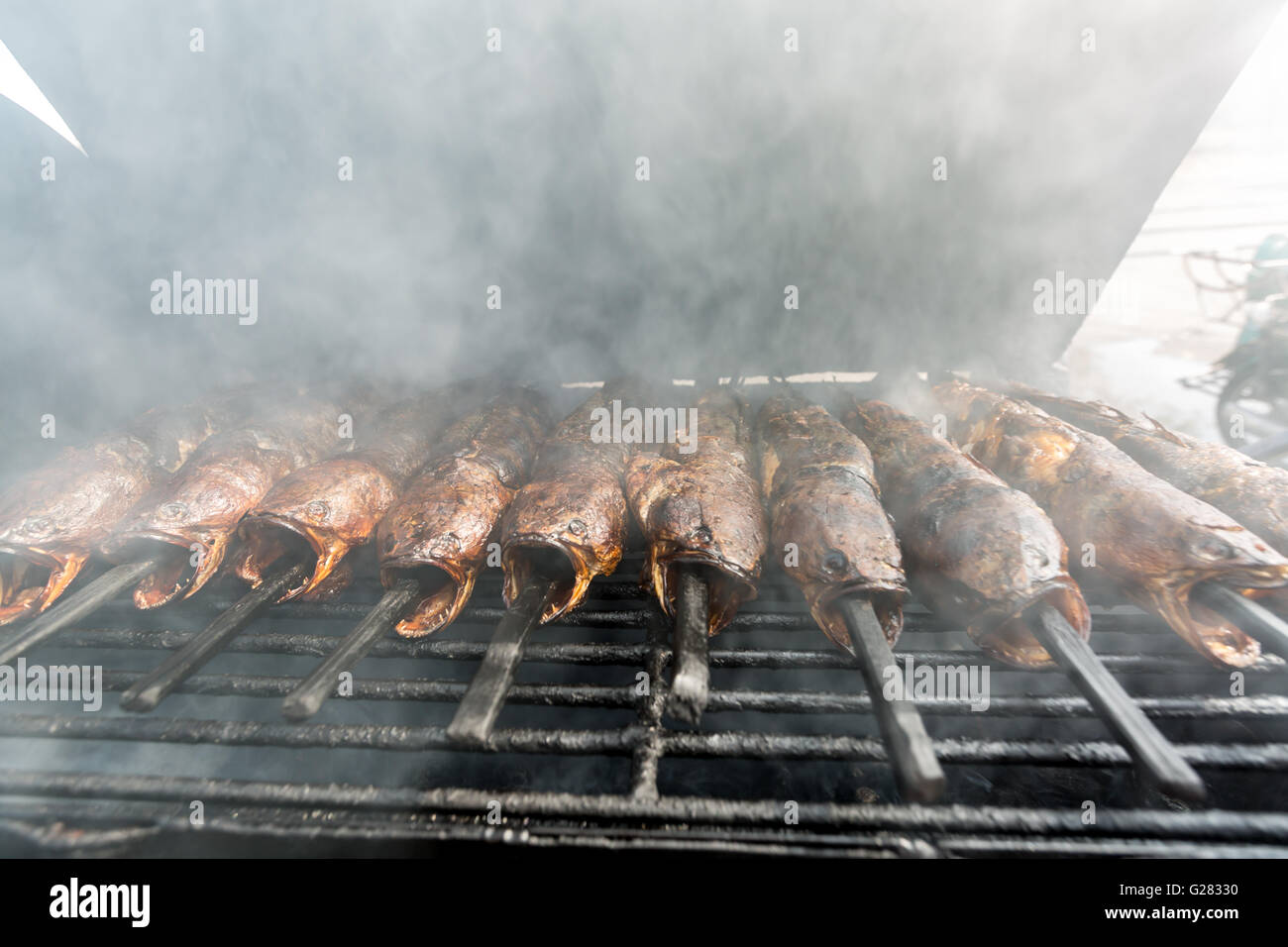 Snakehead grigliate di pesce in stile Tailandese cibo Foto Stock