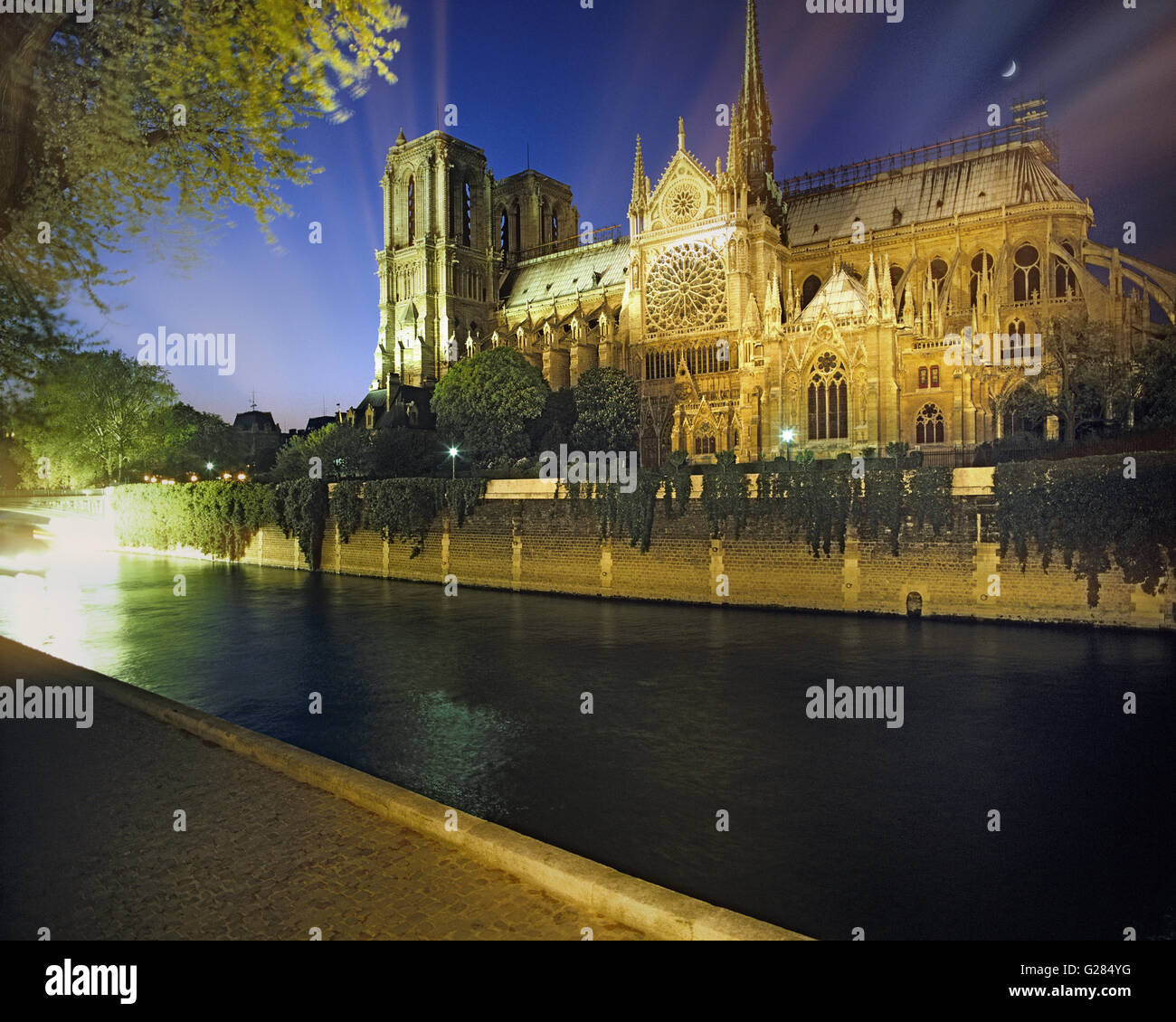 FR - PARIGI: la Senna e la Cattedrale di Notre Dame di notte Foto Stock