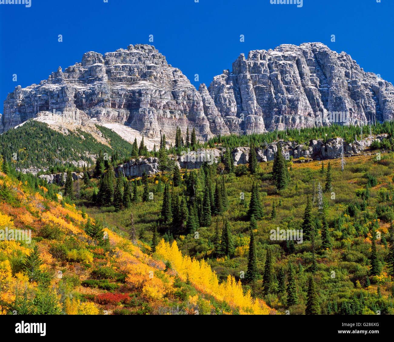 I colori dell'autunno sotto il muro del giardino nel parco nazionale di Glacier, montana Foto Stock