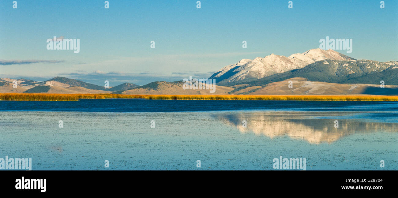 Panorama di abbassare il red rock lago sottostante il centenario le montagne vicino al Lakeview, montana Foto Stock