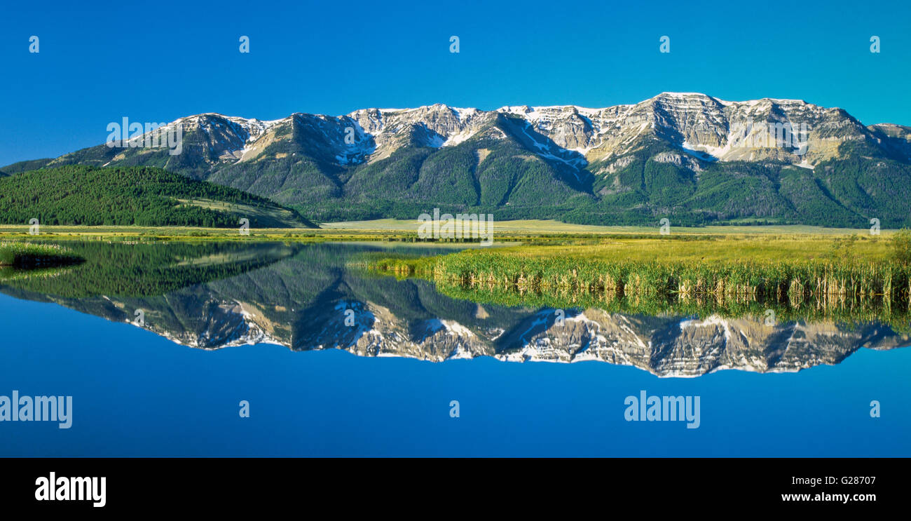 Panorama delle montagne centennial riflessa in fischione stagno al Red Rock Lakes National Wildlife Refuge vicino a lakeview, montana Foto Stock