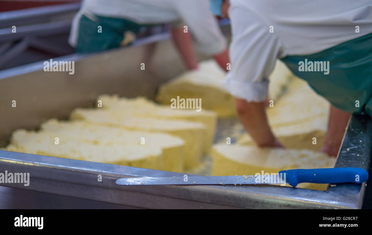 Due sono gli uomini che fanno i blocchi di formaggio Foto Stock