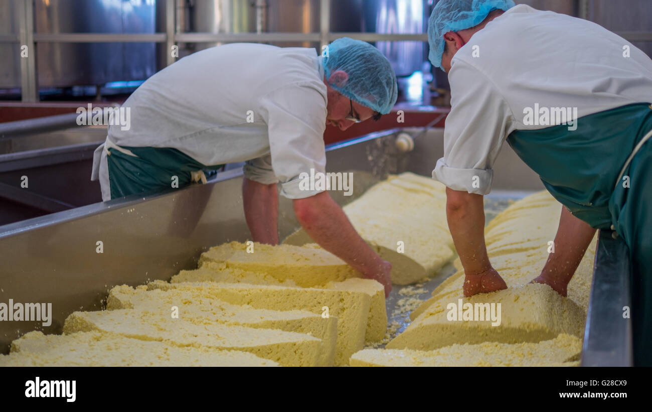 Due sono gli uomini che fanno i blocchi di formaggio Foto Stock