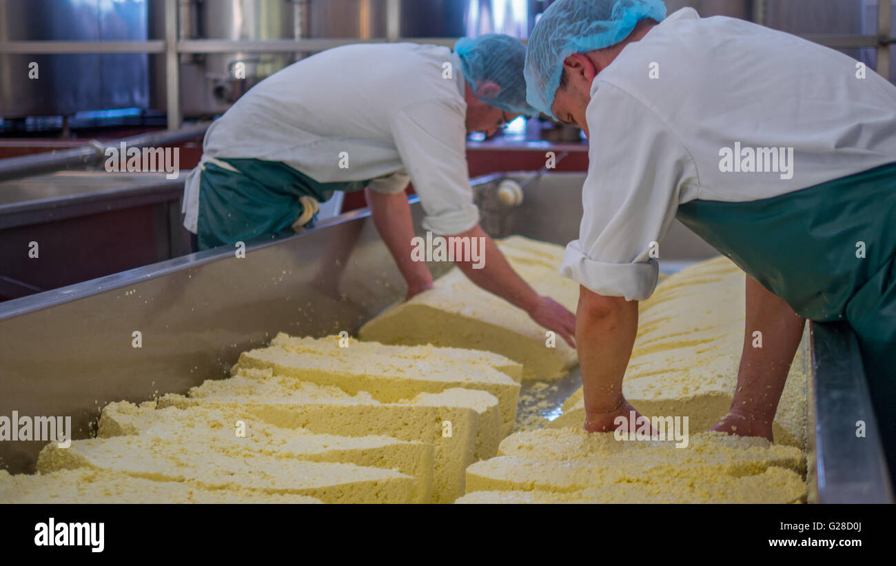Due sono gli uomini che fanno i blocchi di formaggio Foto Stock