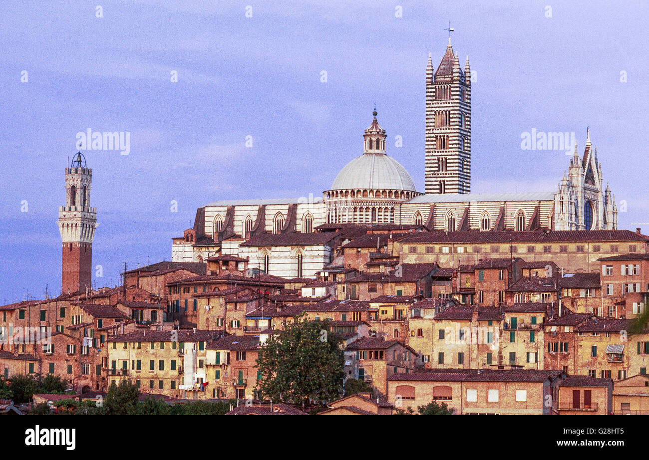 Cattedrale (Duomo) e la Torre del Mangia di Siena (Toscana) Foto Stock