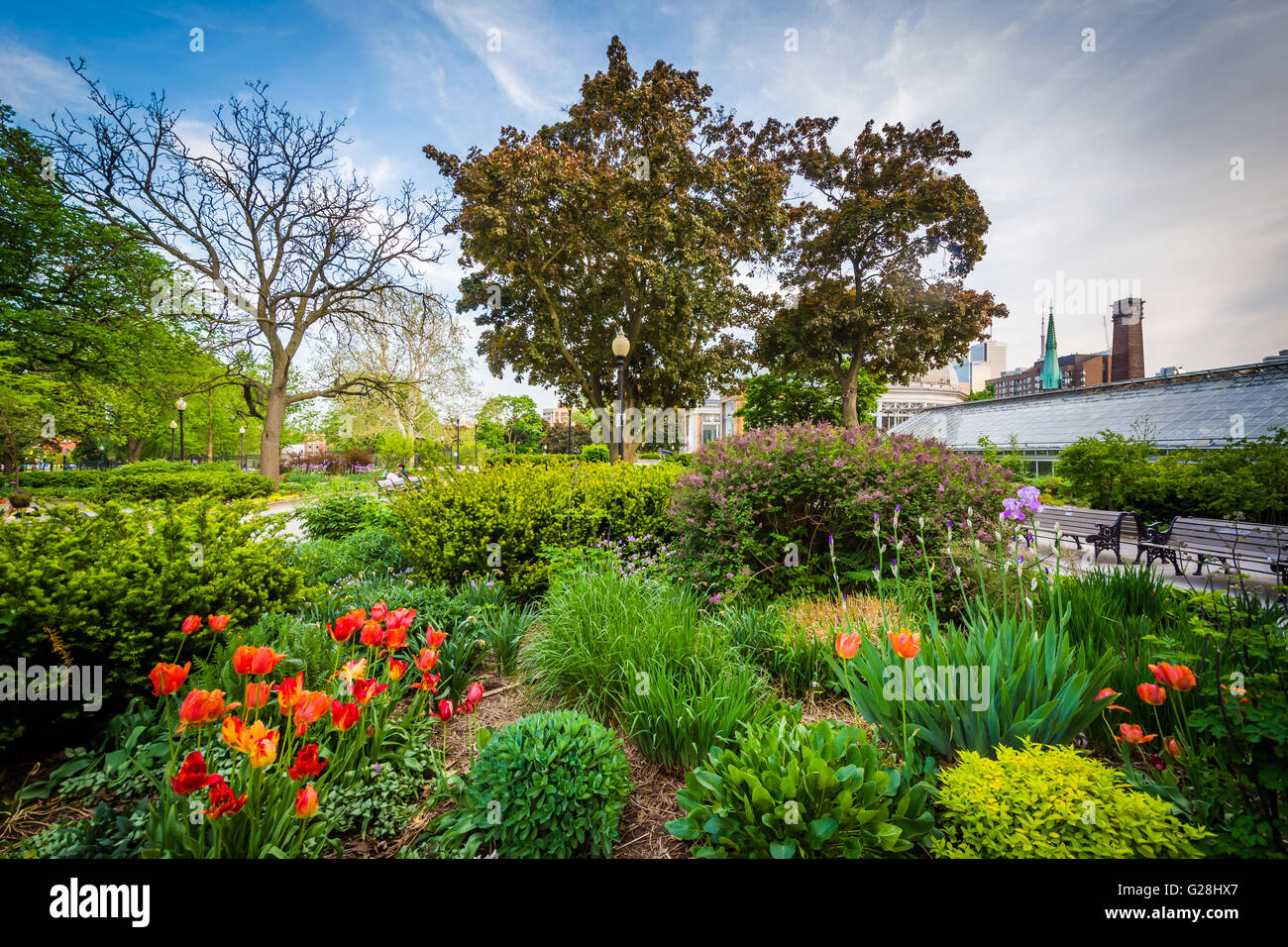 Il Allan Gardens, nel Quartiere Garden, Toronto, Ontario. Foto Stock