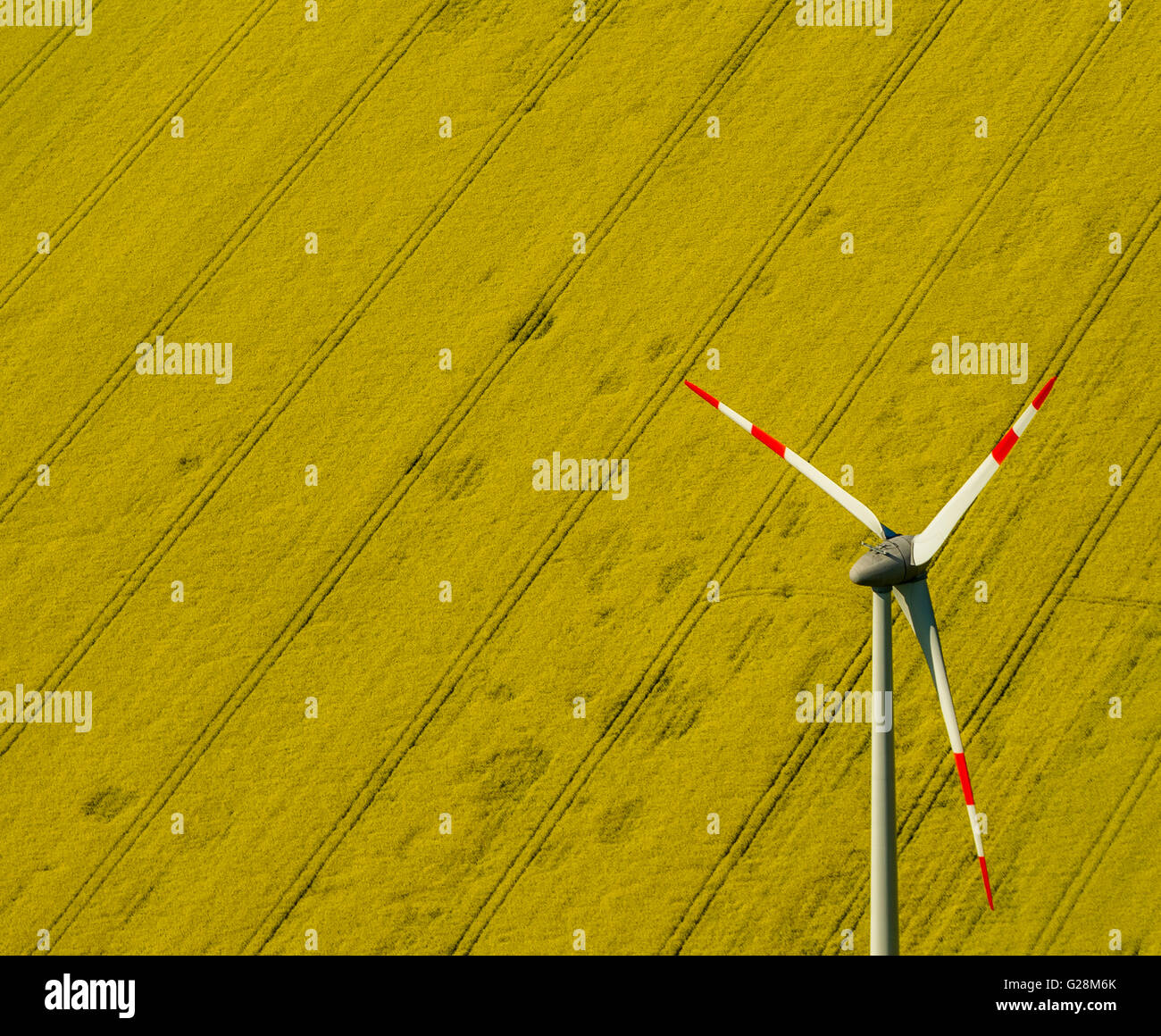 Vista aerea, cornfield, cerchi di irrigazione, di irrigazione, di marchi in un cornfield, Perleberg, Meclemburgo Lake District, Mecklenburg Foto Stock