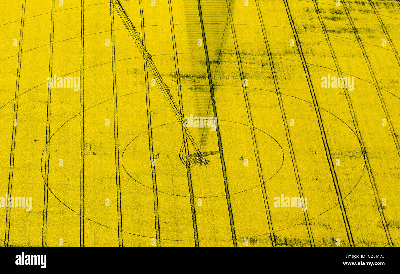 Vista aerea, cornfield, cerchi di irrigazione, di irrigazione, di marchi in un cornfield, Perleberg, Meclemburgo Lake District, Mecklenburg Foto Stock
