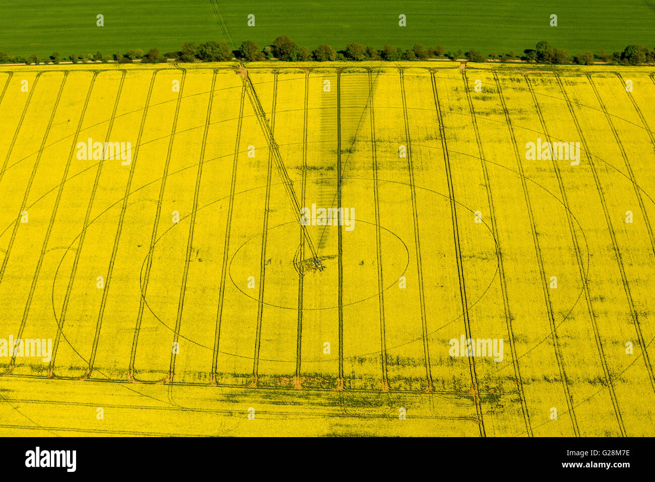 Vista aerea, cornfield, cerchi di irrigazione, di irrigazione, di marchi in un cornfield, Perleberg, Meclemburgo Lake District, Mecklenburg Foto Stock