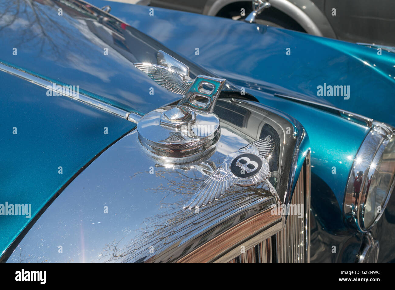 Bentley cofano o ornamento del cofano al di sopra del radiatore per auto Foto Stock