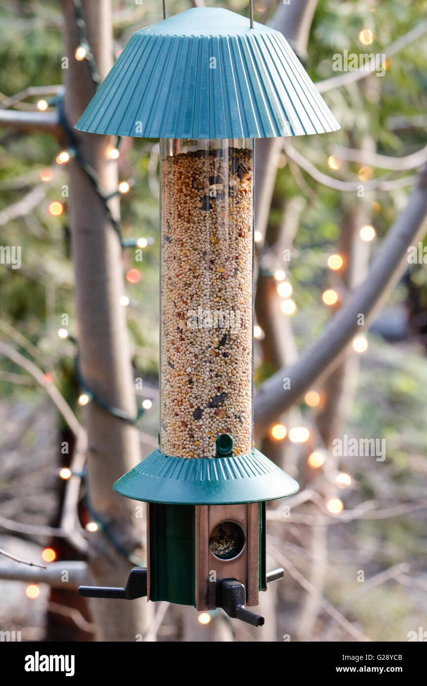 Bird Feeder appeso gli alberi Foto Stock