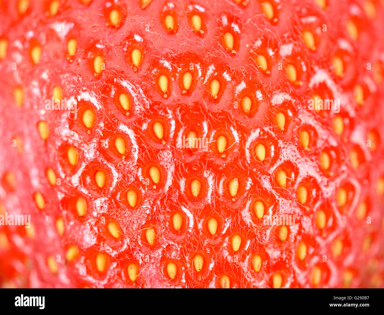 Rosso fresco Fragole astratto di texture Foto Stock