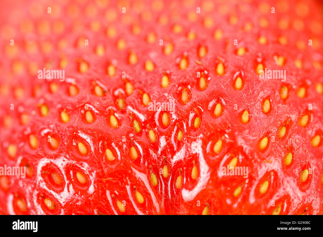 Rosso fresco Fragole astratto di texture Foto Stock