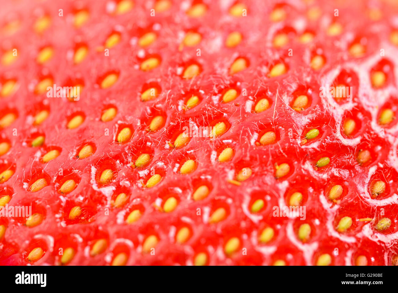 Rosso fresco Fragole astratto di texture Foto Stock