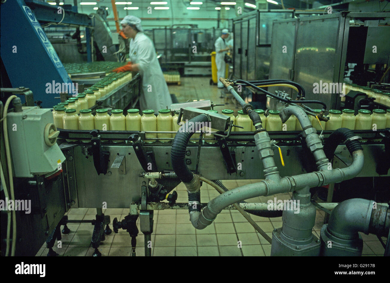 Due fabbrica di cibo per i lavoratori che operano sulla linea di montaggio di vasetti di maionese Foto Stock