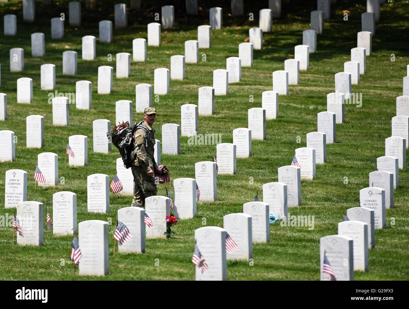 Arlington, Stati Uniti d'America. 26 Maggio, 2016. Un soldato dal 3 U.S. Reggimento di Fanteria luoghi bandiere a grave siti durante il 'Flags-In' cerimonia al Cimitero Nazionale di Arlington, in Arlington, Virginia, Stati Uniti, il 26 maggio 2016. Più di mille soldati posti flags per oltre 223mila tombe nel cimitero di contrassegnare il Memorial Day, l'ultimo lunedì di maggio. Credito: Yin Bogu/Xinhua/Alamy Live News Foto Stock