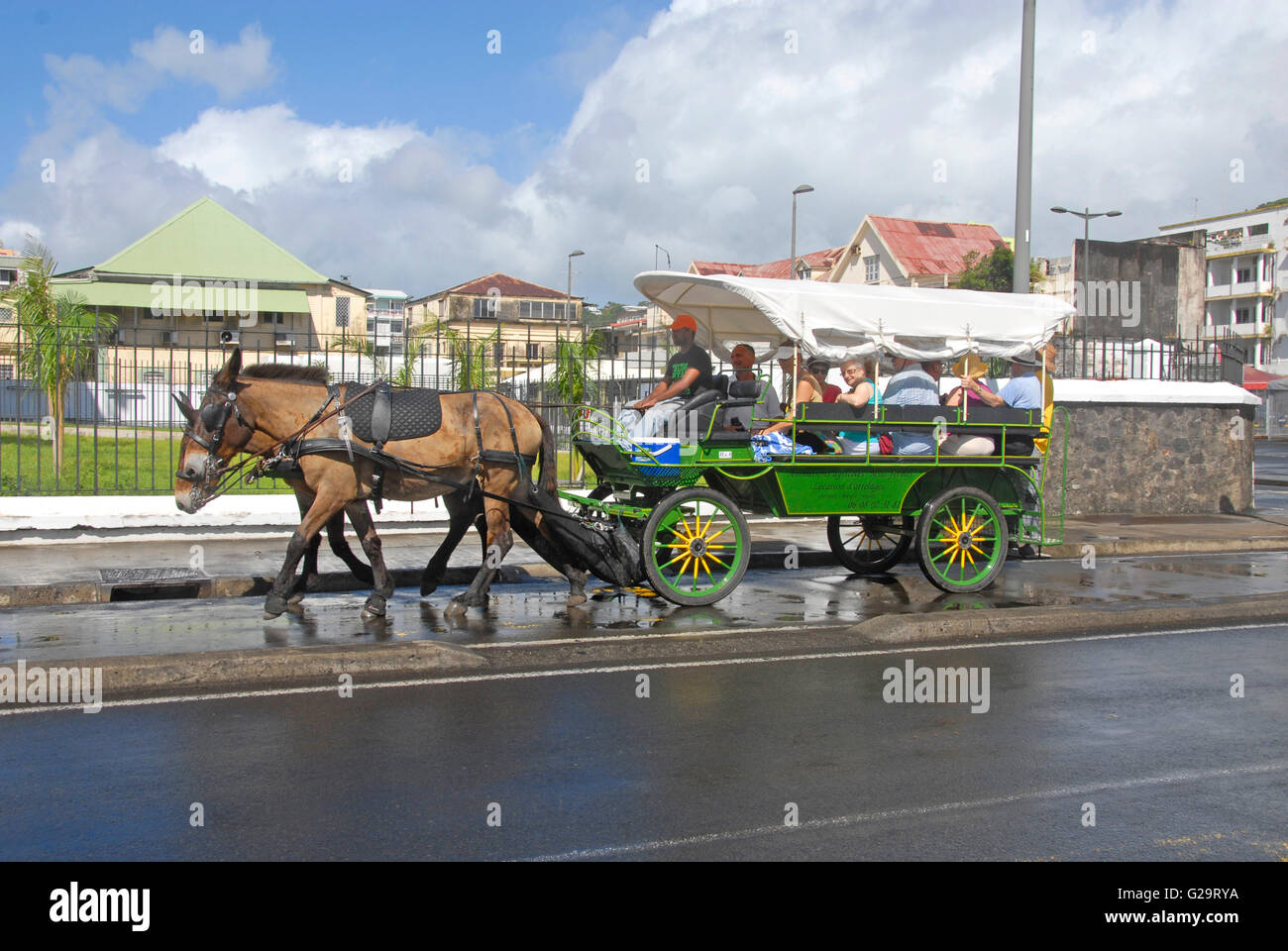 Tubo flessibile e trappola, Fort de France, Martinica, dei Caraibi Foto Stock