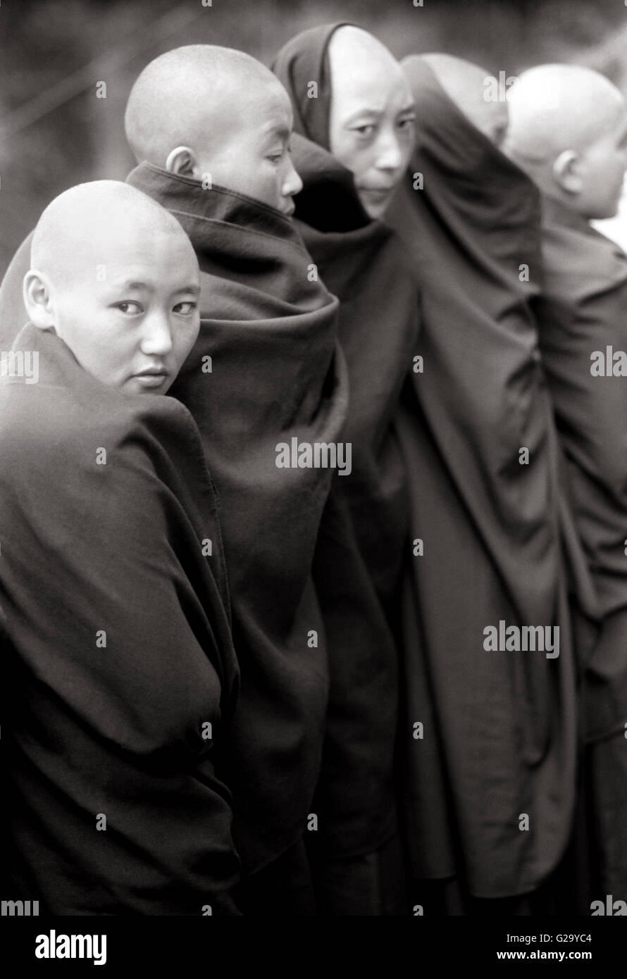 Femmina monaci tibetani stand in linea per essere benedetta dal Dalai Lama davanti a casa sua in Mcleod Ganj, India. Foto Stock