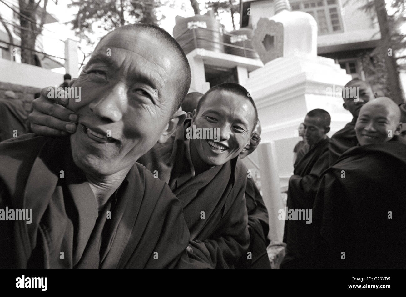 Un monaco tibetano scherzosamente tira indietro il controllo di colleghi monaco mentre in piedi in linea per essere benedetta dal Dalai Lama. Foto Stock