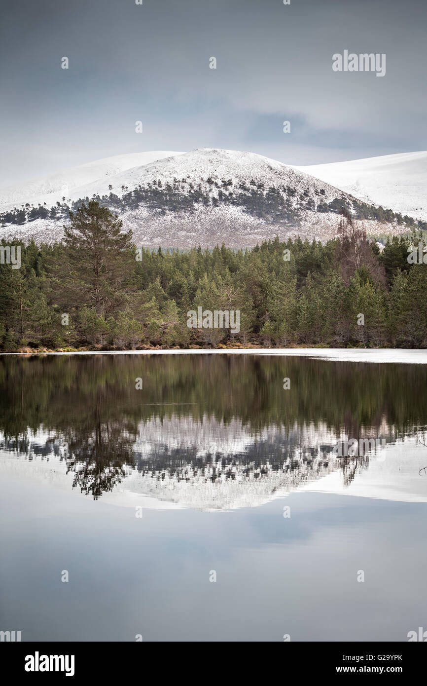 Creag Ghiuthsachan e Uath Lochan in Glen Feshie. Foto Stock