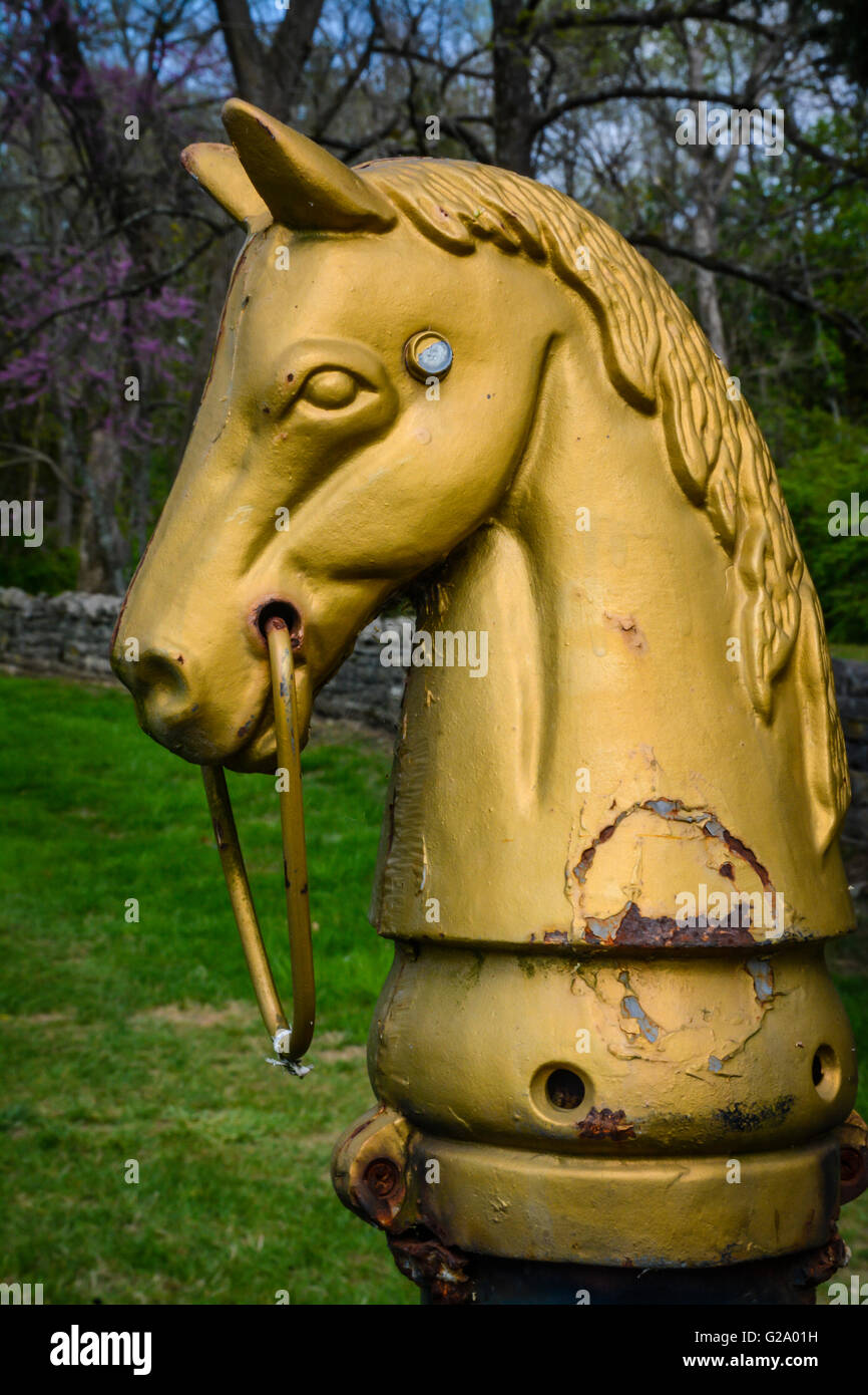 Un vecchio e stagionato ghisa cavallo post di aggancio dal xix secolo sta di guardia e nobile sul maestoso motivi Foto Stock