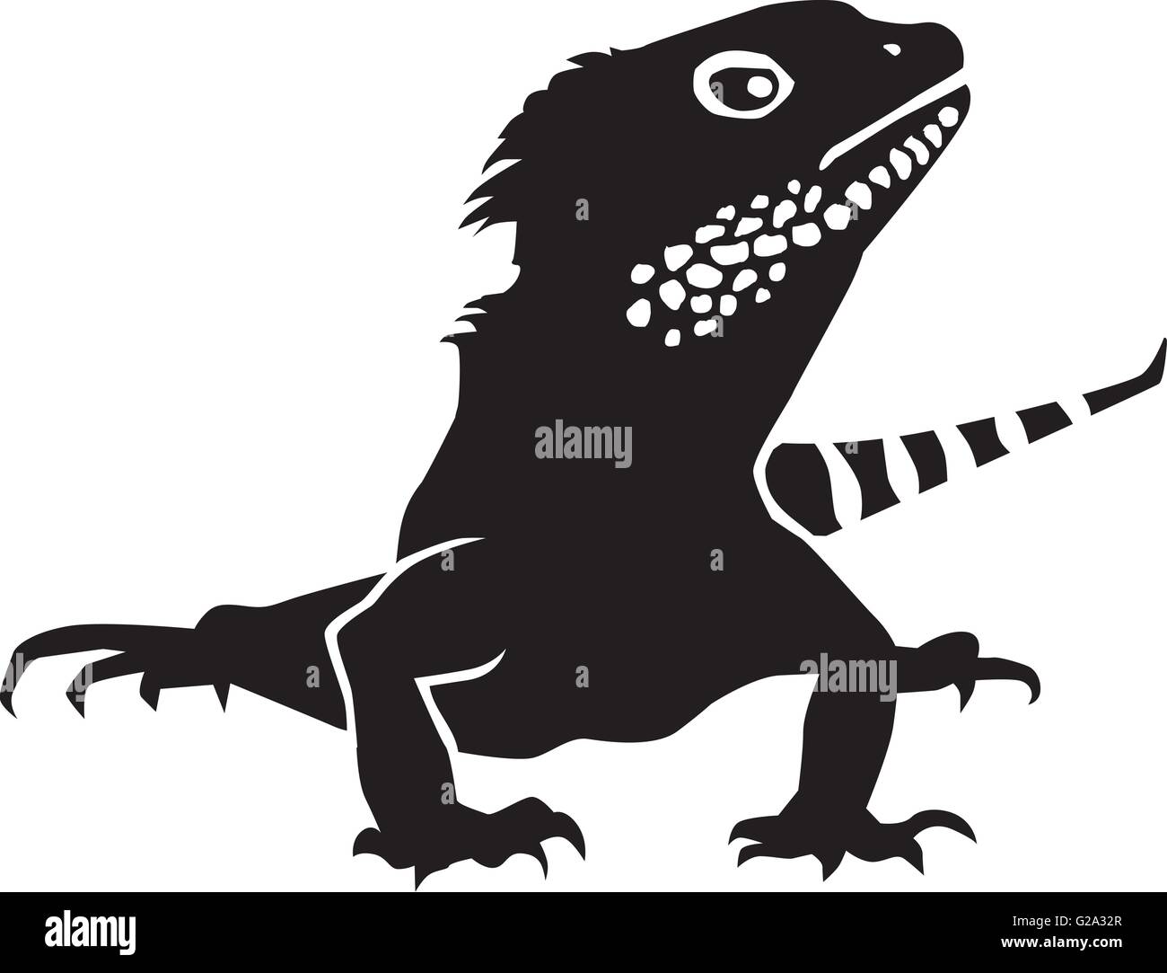 Iguana vettore dettagliate Illustrazione Vettoriale