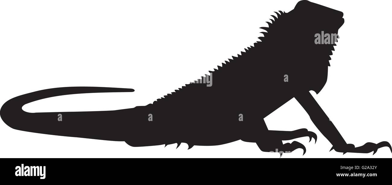 Silhouette di Iguana Illustrazione Vettoriale