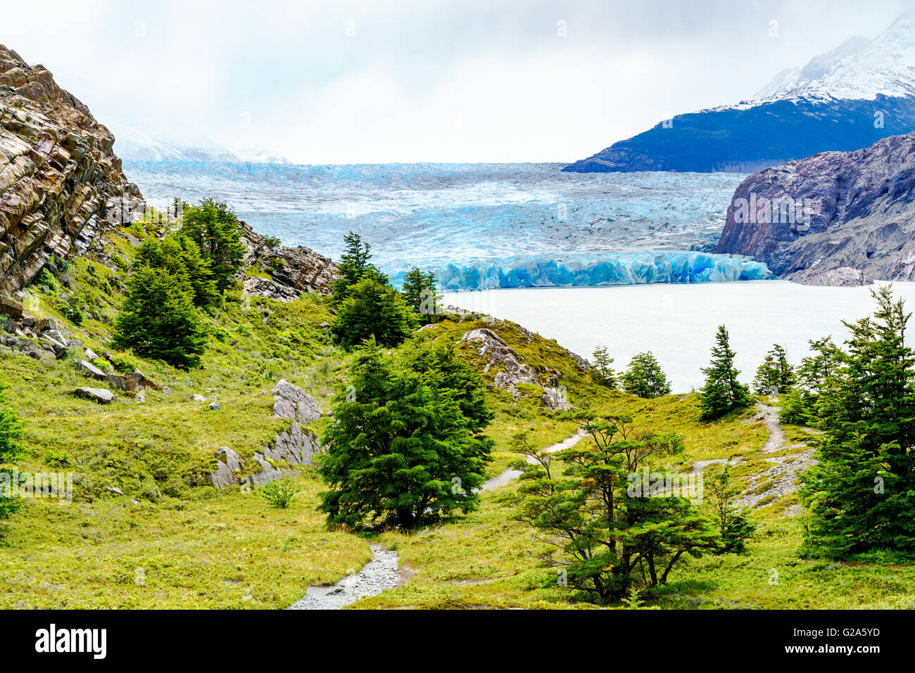 Ghiacciaio Grey in Patagonia meridionale del campo di ghiaccio in Cile Foto Stock