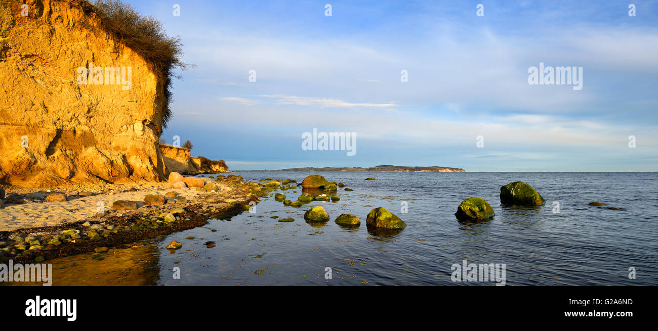 Bluff e massi nella luce della sera, Reddevitzer Hoeft, penisola Mönchgut, sud-est di Rügen Riserva della Biosfera, Rügen Foto Stock