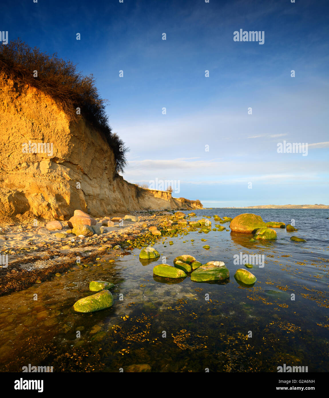 Bluff e massi nella luce della sera, Reddevitzer Hoeft, penisola Mönchgut, sud-est di Rügen Riserva della Biosfera, Rügen Foto Stock