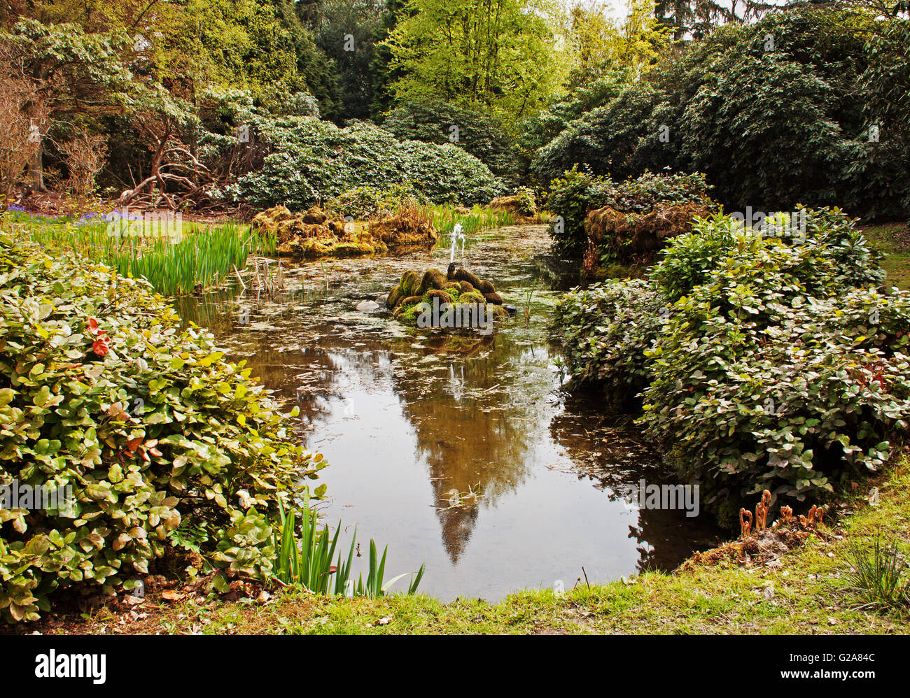 La fontana nello stagno a Tatton Park Foto Stock