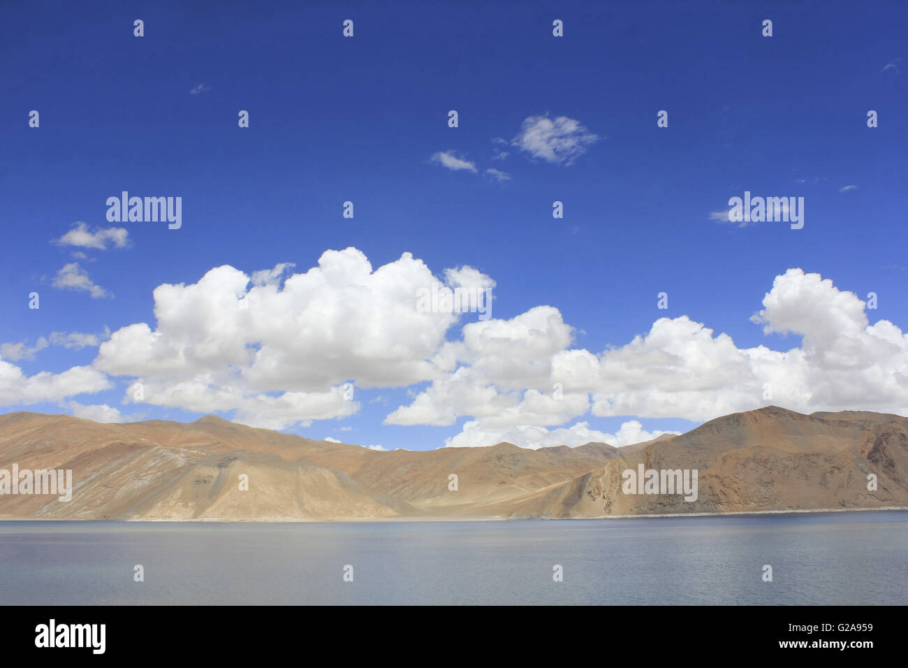 Pangong TSO (o Pangong Lake; TSO: Ladakhi per lago) nell'Himalaya, India Foto Stock