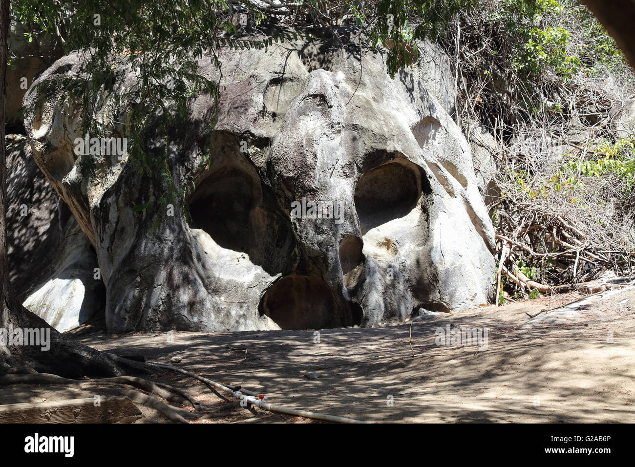 A forma di teschio rock, sul percorso di Devil's Bay, bagni, Virgin Gorda, Isole Vergini Britanniche, Isole dei Caraibi Foto Stock