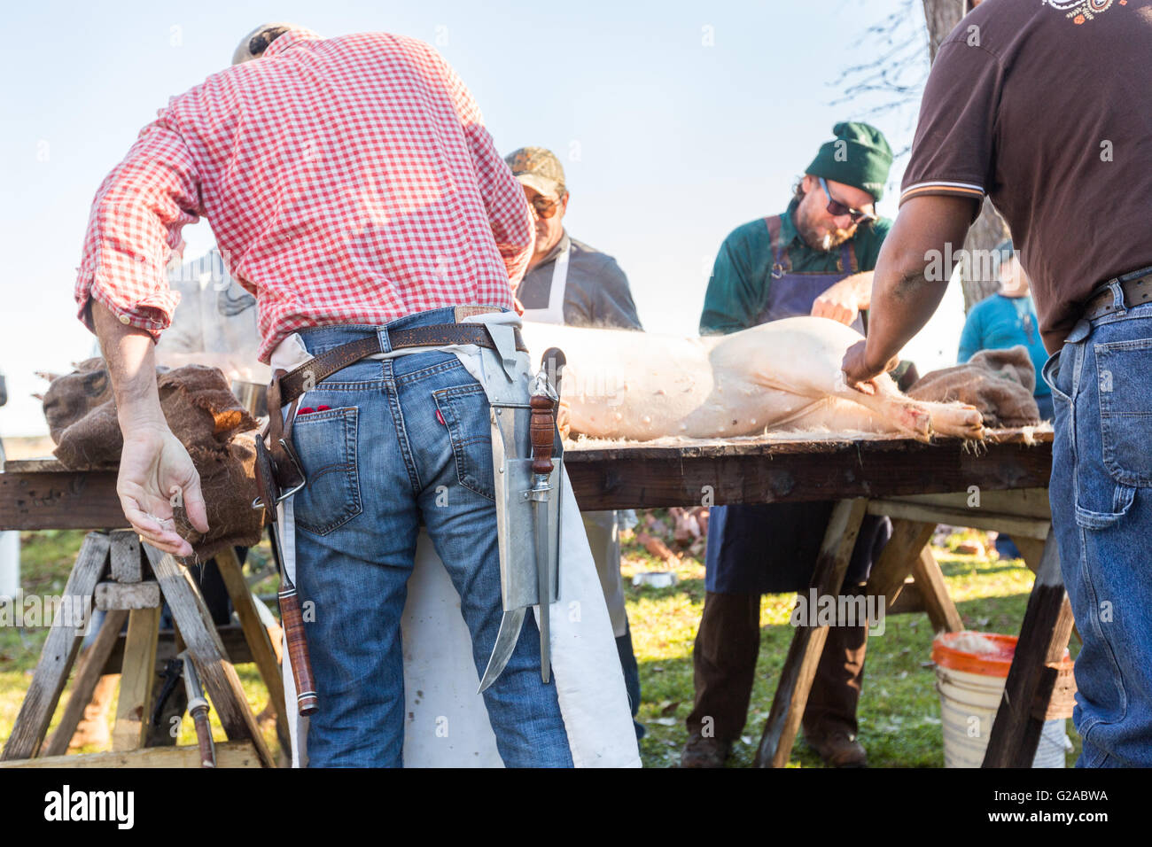 Macellerie iniziare il carving appena ucciso il porco durante un Cajun Boucherie, parte della tradizionale Settimana lungo il Mardi Gras feste Febbraio 8, 2016 in Eunice, Louisiana. La Old fashion community evento comporta la macellazione di un intero maiale e utilizzo di cucina e di tutte le parti di ricambio per gli ospiti. Foto Stock