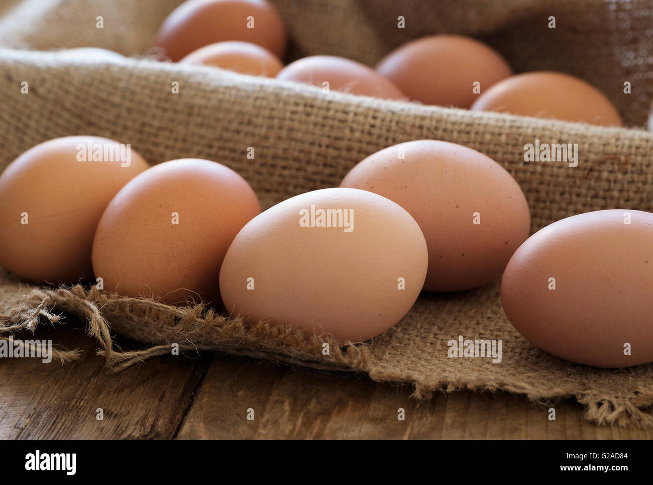 Fresco uova di animali su legno Foto Stock