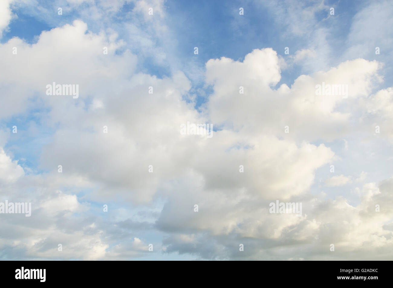 Cumulus nubi nel cielo del pomeriggio Foto Stock