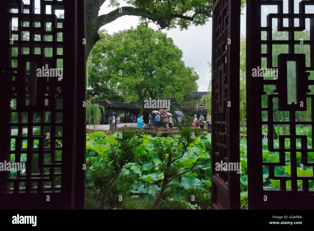Lotus Pond in umile Administrator's Garden, Suzhou, provincia dello Jiangsu, Cina Foto Stock