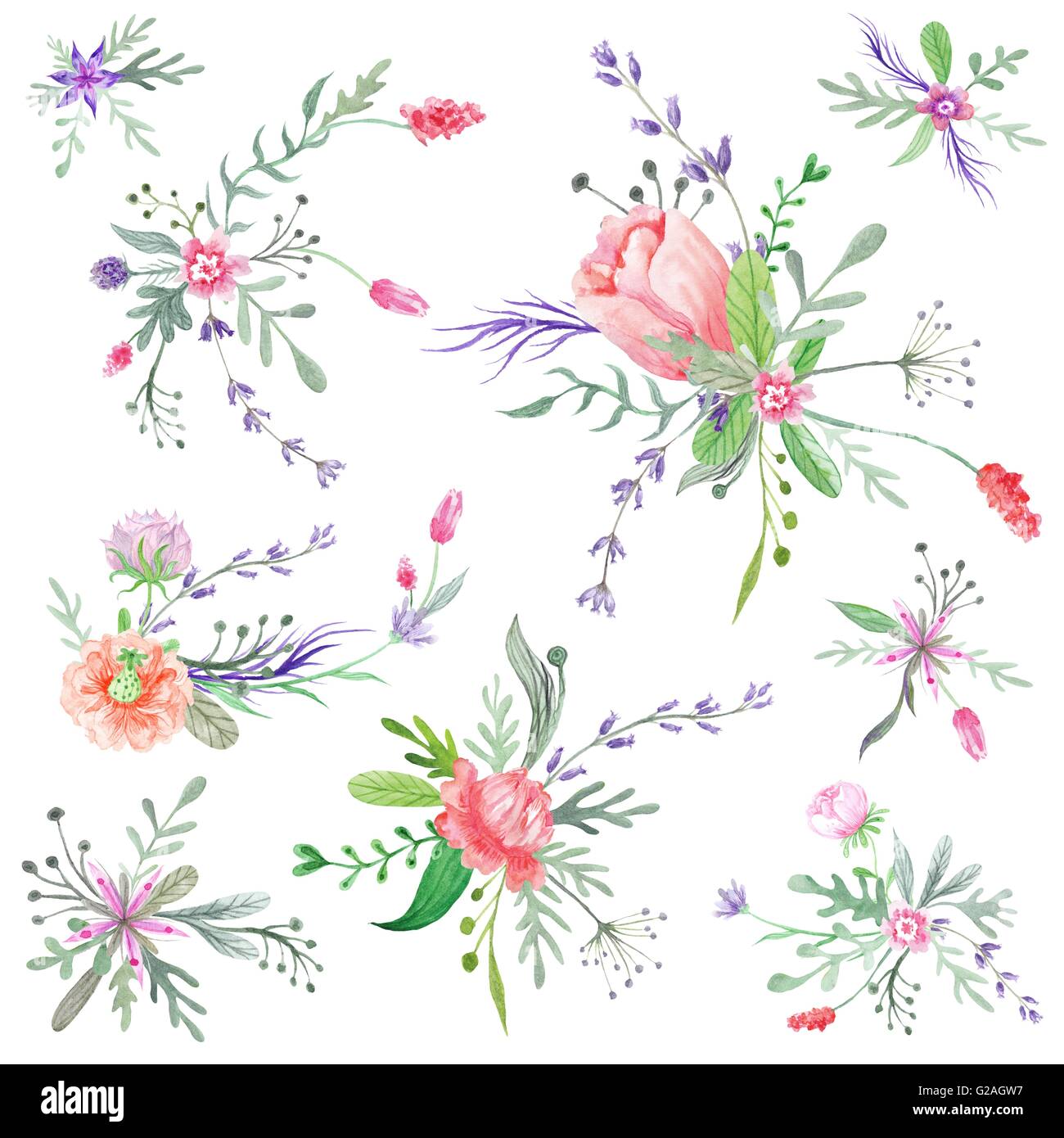 Set di botanica floristica vivaci vignette composizioni isolate su sfondo bianco per matrimoni, eventi design Foto Stock