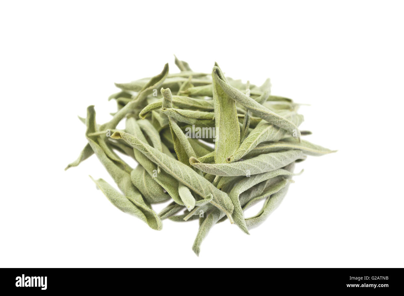 Le foglie essiccate di Salvia dalmata su bianco Foto Stock