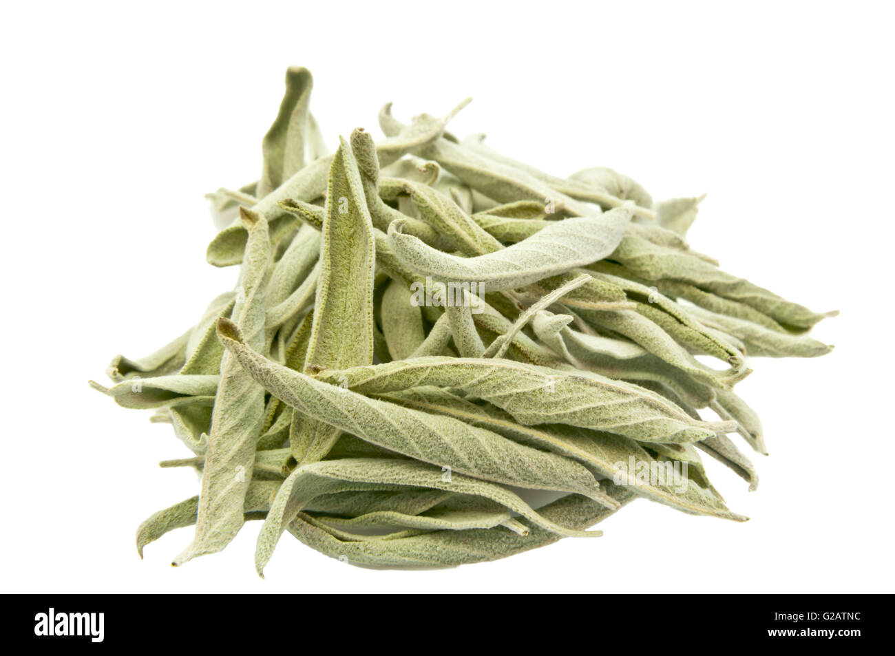 Le foglie essiccate di Salvia dalmata su bianco Foto Stock