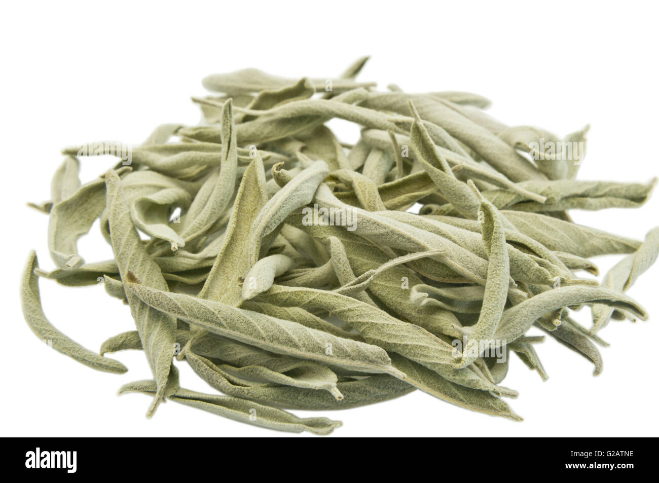 Le foglie essiccate di Salvia dalmata su bianco Foto Stock