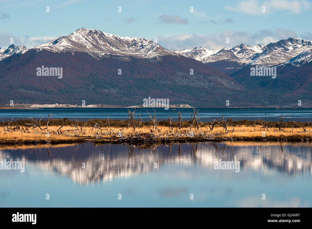 Autunno in Patagonia. Tierra del Fuego, Canale Beagle e territorio cileno, vista dal lato di Argentina Foto Stock