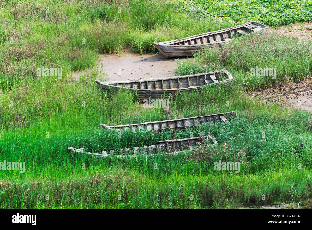 Barche da pesca lungo la costa del Mar della Cina orientale, Xiapu, provincia del Fujian, Cina Foto Stock