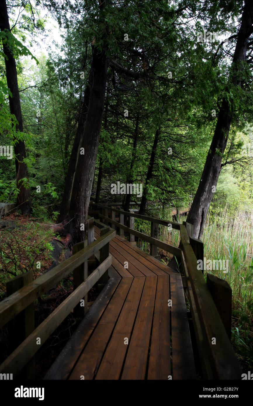 Ponte di Legno Crawford Lago Milton Ontario Foto Stock